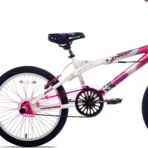 20" Kent Trouble, Replacement Rear Brake Caliper