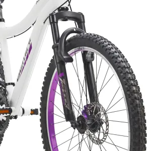 26" Kent Gemini, Replacement Fork