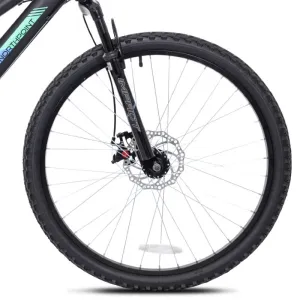 26" Ladies Northpoint, Replacement Tire