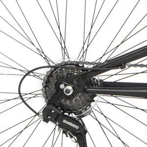 29" Kent Flexor, Replacement 7 Speed Freewheel