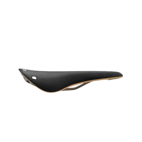 Brooks Cambium C17 Special Saddle (Black)