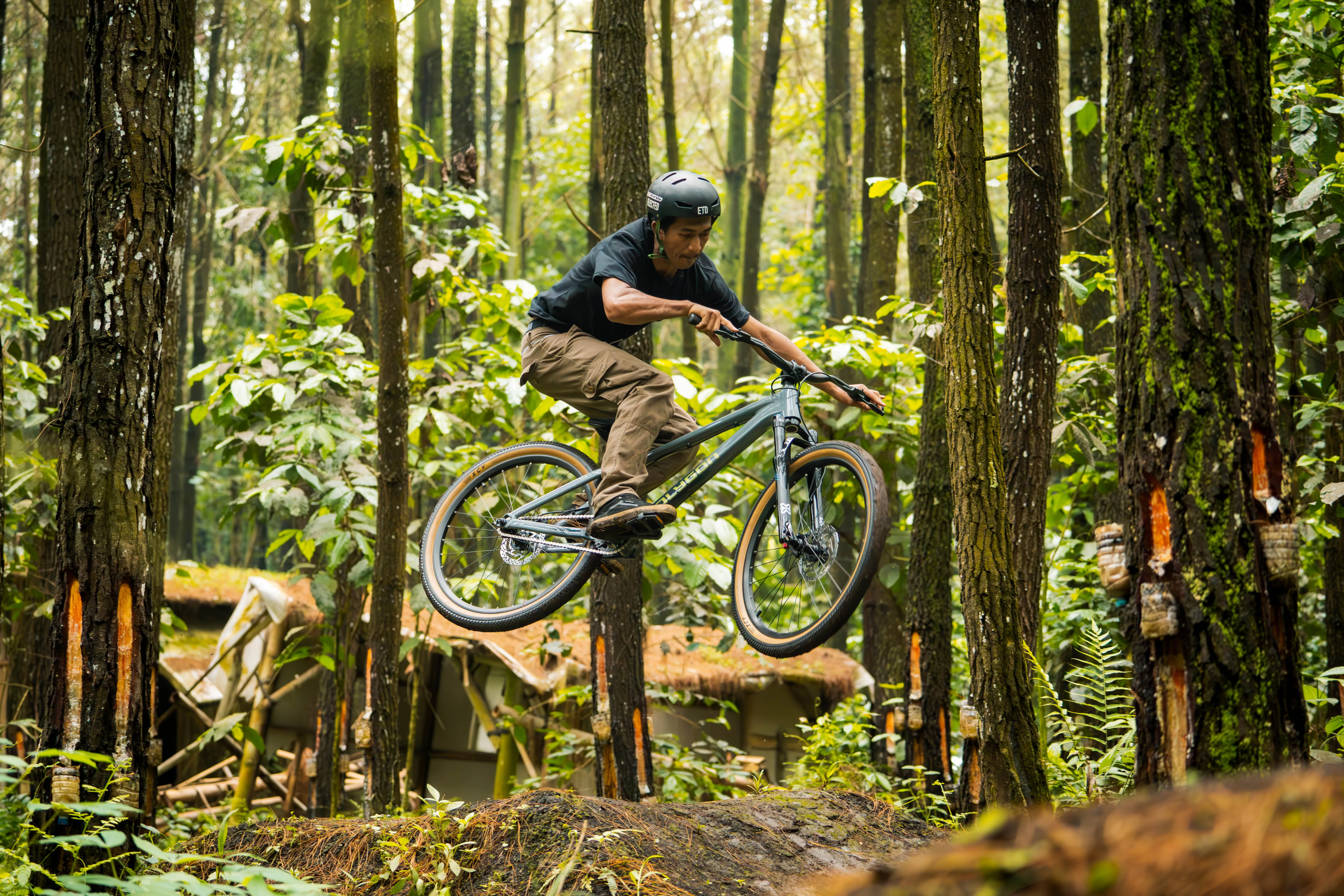 Polygon Trid - Dirt Jump Mountain Bike