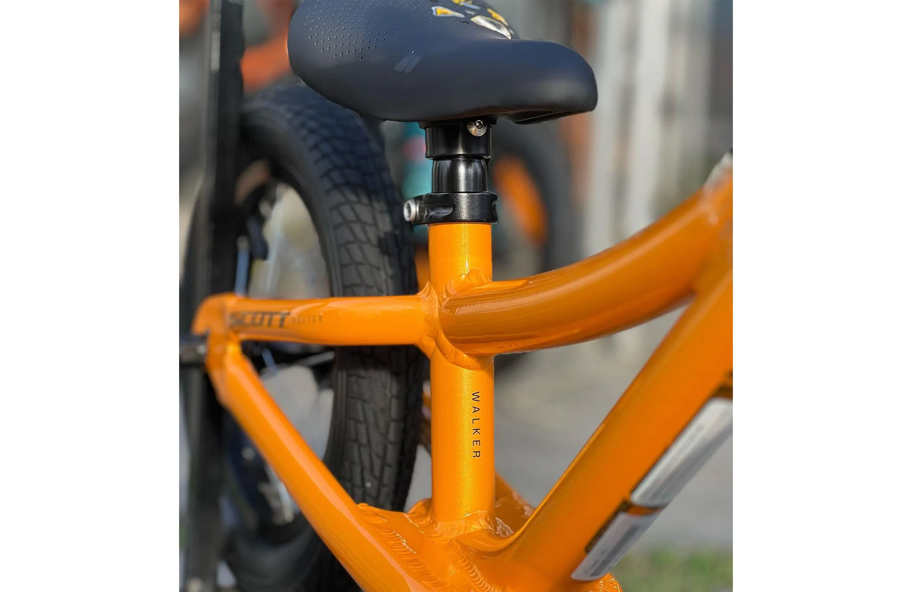 Scott Roxter Walker Bike