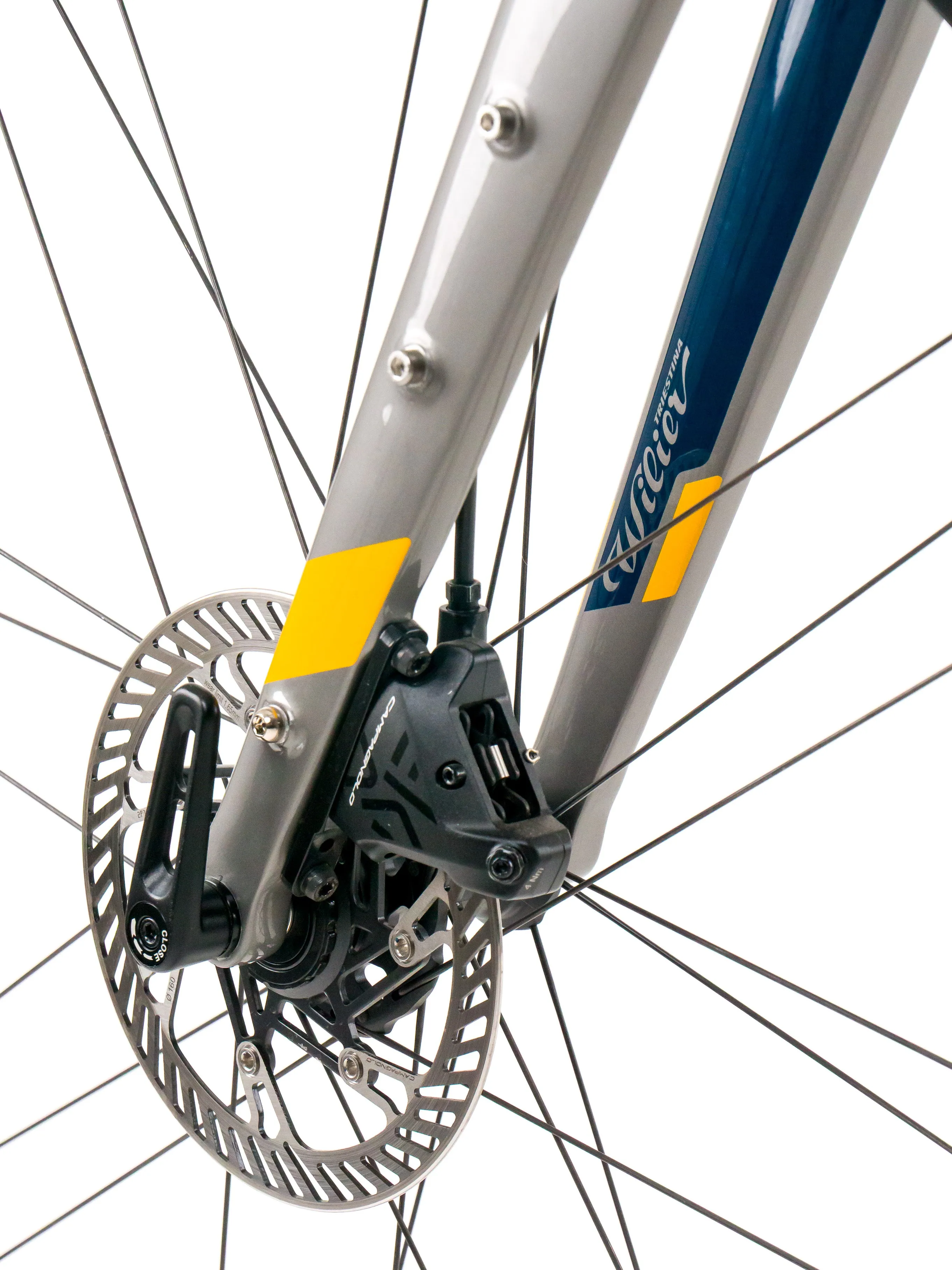 Wilier  Jena 2023 size XS Campagnolo Ekar GT 1x13sp